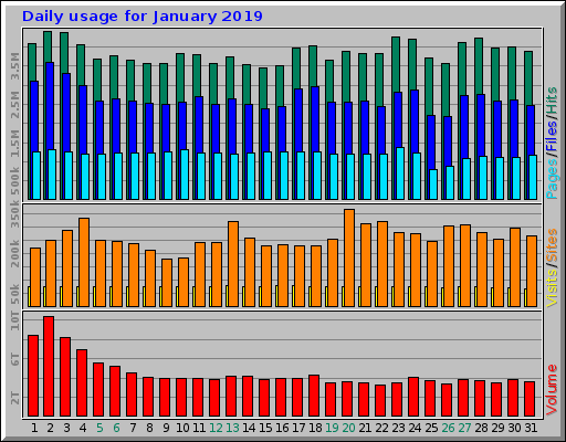 Daily usage for January 2019