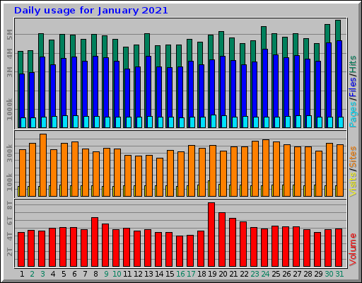 Daily usage for January 2021