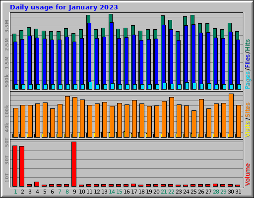 Daily usage for January 2023