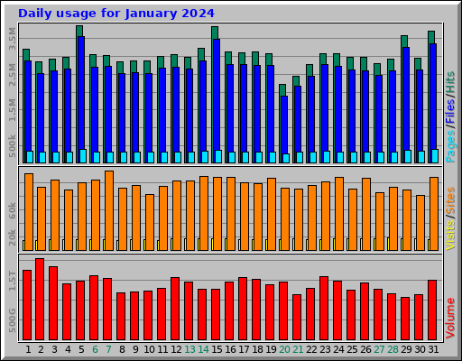 Daily usage for January 2024