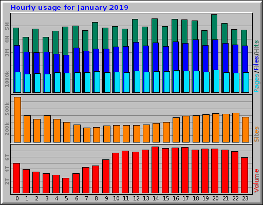 Hourly usage for January 2019