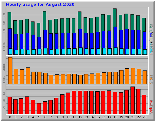 Hourly usage for August 2020