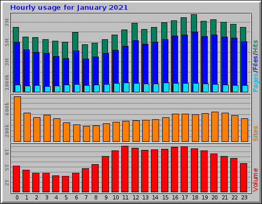 Hourly usage for January 2021