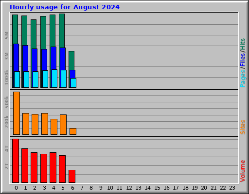 Hourly usage for August 2024