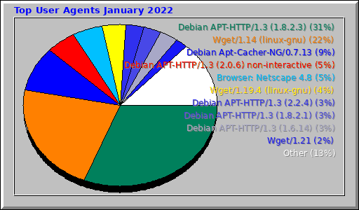 Top User Agents January 2022