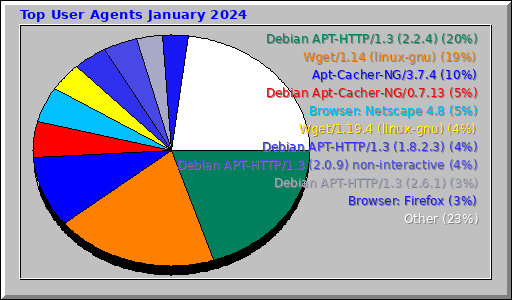 Top User Agents January 2024